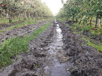 Fahrspuren in der Obstplantage Fahrspuren in der Obstplantage